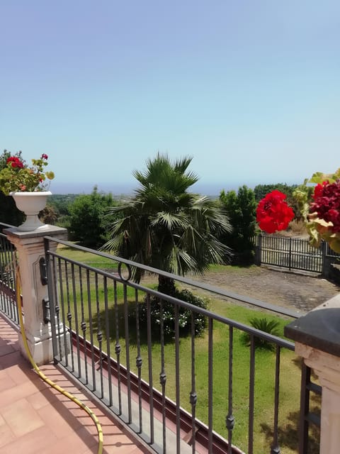 Zafferana Etnea:Honey extraction workshop and honey tasting - Frequently Asked Questions