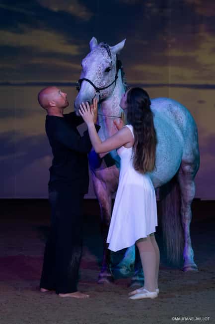 Zagal Cabaret - A one-of-a-kind equestrian show - Discover the Unmatched Charm of Zagal Cabaret, Frances Equestrian Spectacle