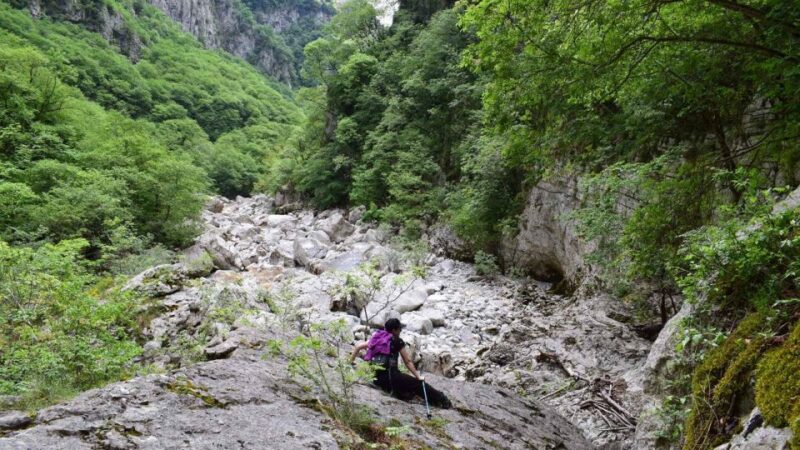 Zagori: Hiking In Vikos Gorge - Visiting the Voidomatis Springs and River Waters
