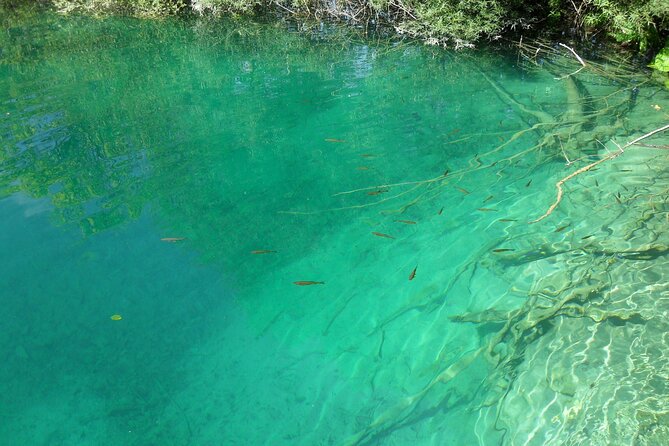 Zagreb airport or Zagreb to Split via Plitvice lakes for singles or couples - Discovering Plitvice Lakes National Park’s Natural Beauty