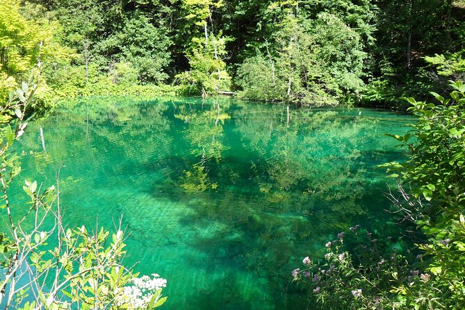 Zagreb airport or Zagreb to Split via Plitvice lakes for singles or couples - The Overall Value of the Zagreb to Plitvice Lakes Tour