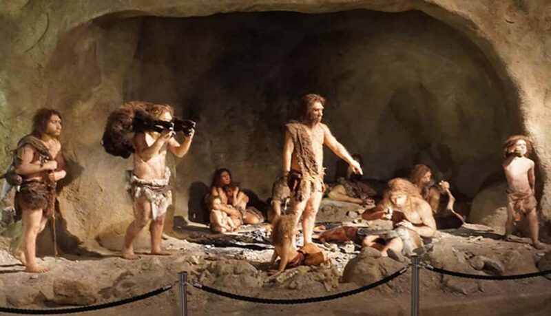 Zagreb: Krapina Neanderthal Museum & Trakoan Castle Tour - Key Points