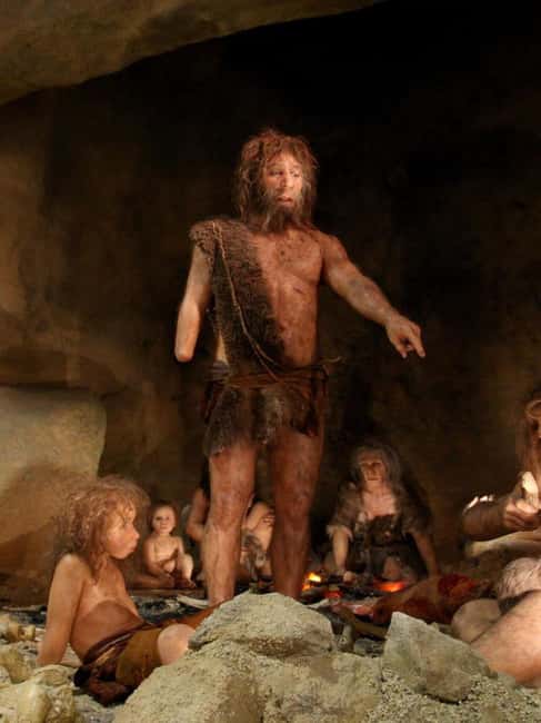 Zagreb: Krapina Neanderthal Museum & Trakoan Castle Tour - Comfortable Transportation and Expert Guides