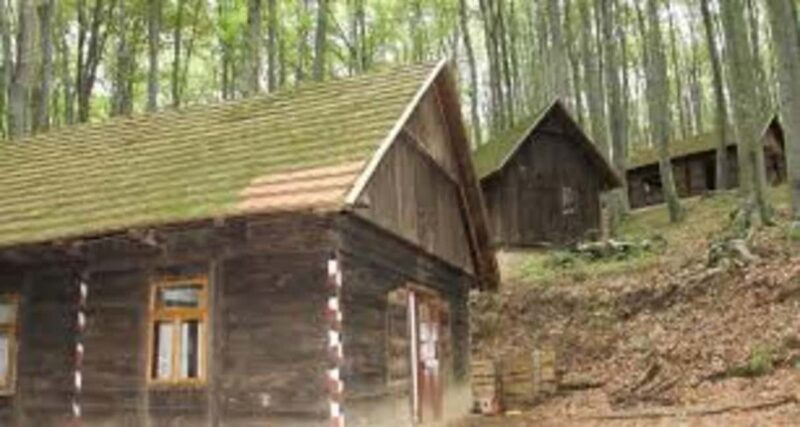 Zagreb: Plitvice Lakes, War History, and Wildlife Tour - Exploring the Natural Beauty at Plitvice Lakes National Park