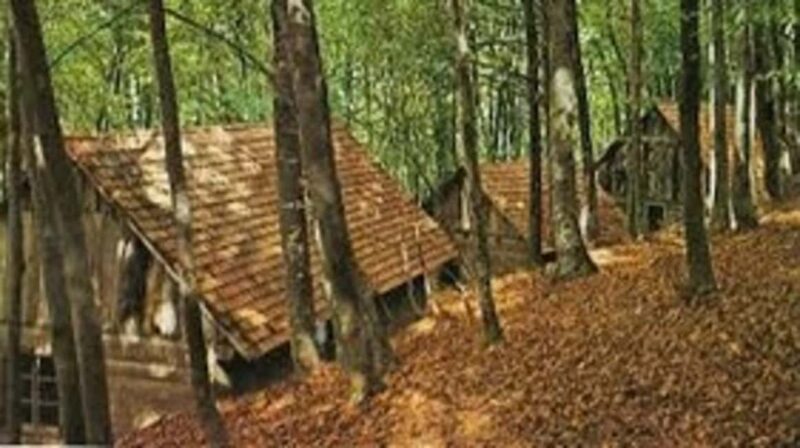 Zagreb: Plitvice Lakes, War History, and Wildlife Tour - Visiting Dubec Castle and Enjoying Panoramic Views