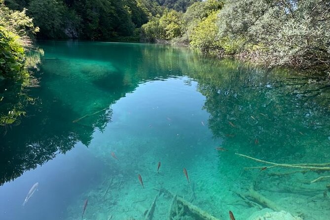 Zagreb: Plitvice Lakes With Secured Tickets, Boat And Train Ride - Key Points