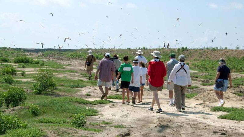 Zagreb: Science Tours, Zagreat Outdoors - Key Points