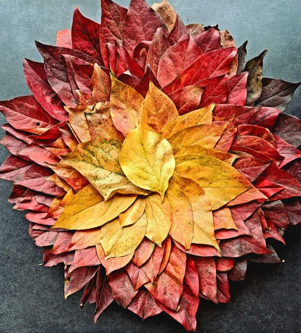 Zagreb through plants: an urban and botanical walk - Exploring Zagreb’s Historic Center and Secret Alleyways