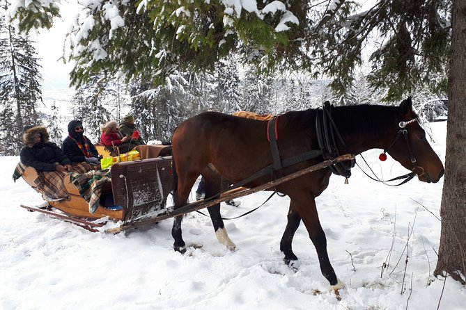 Zakopane and Horse Sleigh Ride in the countryside, private tour from Krakow - The Shrine of Our Lady of Fatima at Krzeptówki