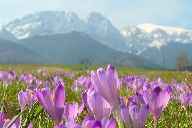 Zakopane and Tatras Mountains Day Tour from Krakow - Practical Tips and Considerations