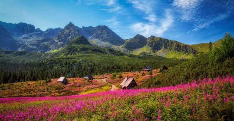 Zakopane: Private City Tour - Discover Zakopane: Poland’s Highest Town at the Foot of the Tatra Mountains