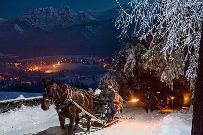 Zakopane Sleigh Ride in Tatra Mountains - Scenic Journey into Chochoowska Valley