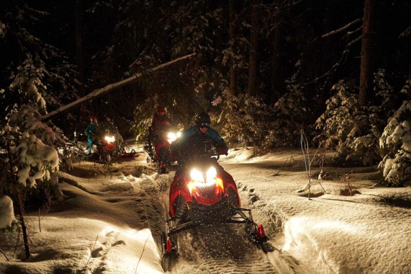 Zakopane: Snowmobiles Expedition and Optional Bonfire - The Guide and Safety Measures