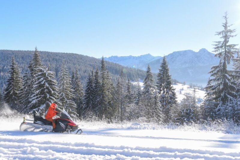 Zakopane: Snowmobiles Expedition and Optional Bonfire - The Bonfire Experience and Warm Drinks