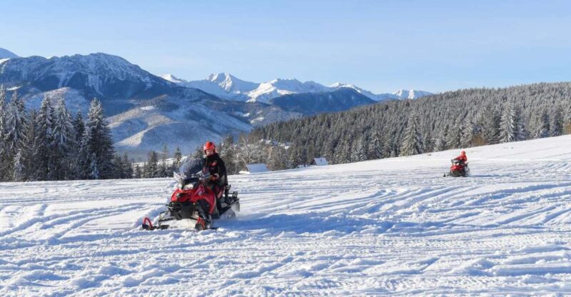 Zakopane: Snowmobiles Expedition and Optional Bonfire - Physical Requirements and Accessibility