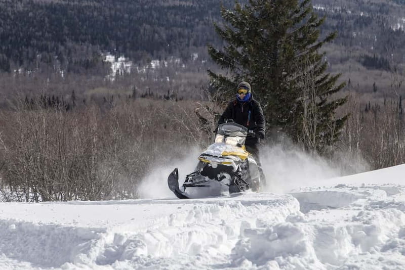 Zakopane: Snowmobiles (or Quads), Thermal Pools & Tasting - The Excitement of Snowmobile or Quad Riding