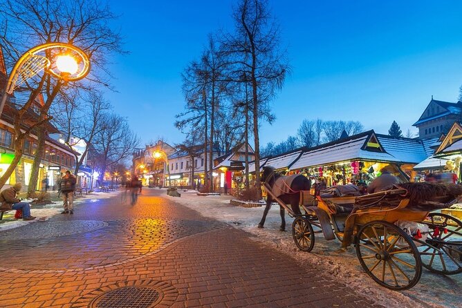Zakopane & Thermal springs with private driver - Relaxation at Chocholowskie Termy Thermal Baths