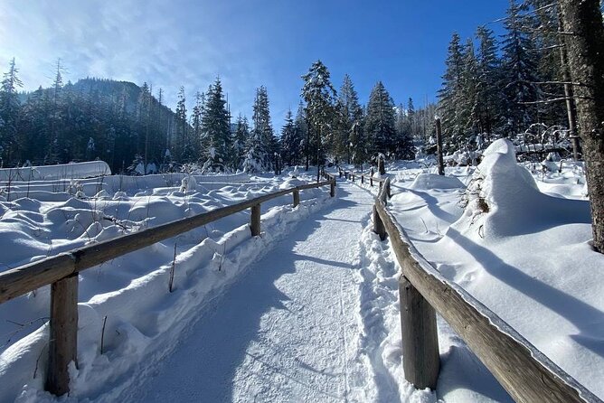 Zakopane Tour from Krakow with Thermal SPA and Hotel Pick up - Wander Through Zakopane’s Vibrant Town Center