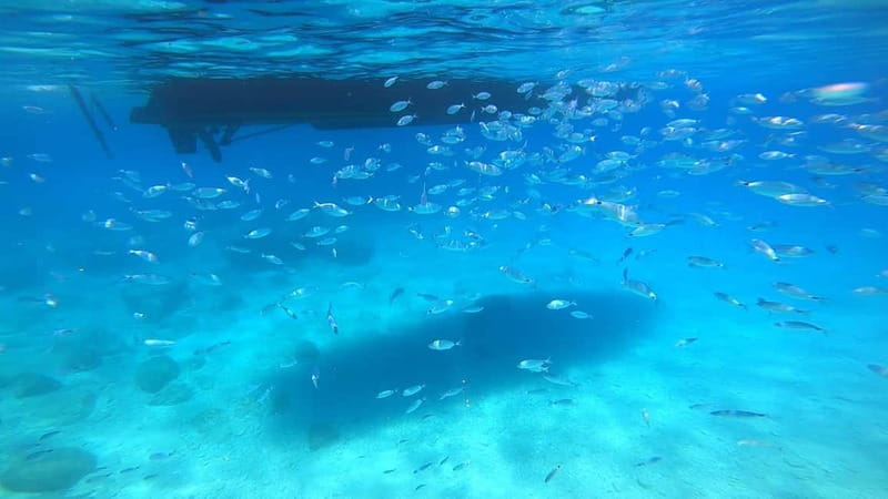 Zakynthos: Blue Caves and Navagio Bay Swim Cruise - Scenic Drive Past the Ruins of an Old Monastery and a Natural Arch