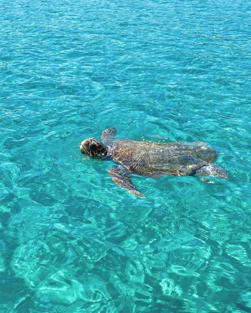 Zakynthos: Boat Rental - Main Stops: Secluded Bays and Hidden Caves