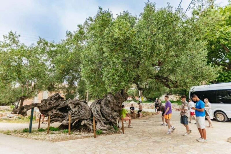 Zakynthos: Discover The Past - Exploring Stone Villages and Traditional Olive Oil Factory