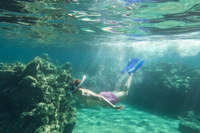 Zakynthos: Glass Bottom Turtle Boat Tour to Keri Caves & Islands - Turtle Spotting in Laganas Bay’s Natural Habitat