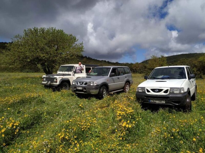 Zakynthos: Off-Road Jeep Tour - Visiting Therianos Organic Farm