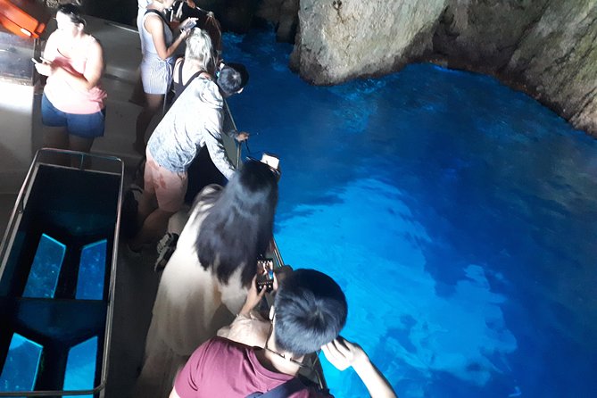 Zakynthos : One day small group tour to Navagio beach Blue Caves & top view - Panoramic Views from Bochali Hill