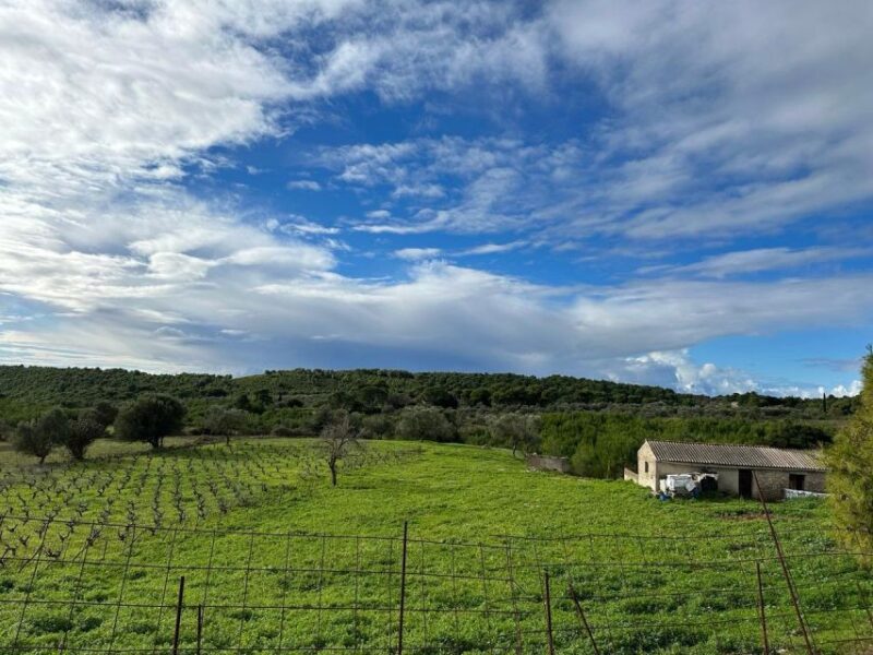 Zakynthos Premium 4x4 Sunset Escape - Exploring Alitzerini Cave at Korakonisi