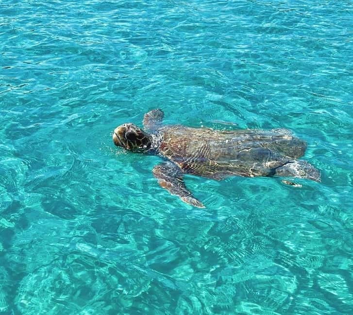 Zakynthos: Private Boat Tour with Captain - Explore Zakynthos Southwest Coast on a Private Boat with Captains