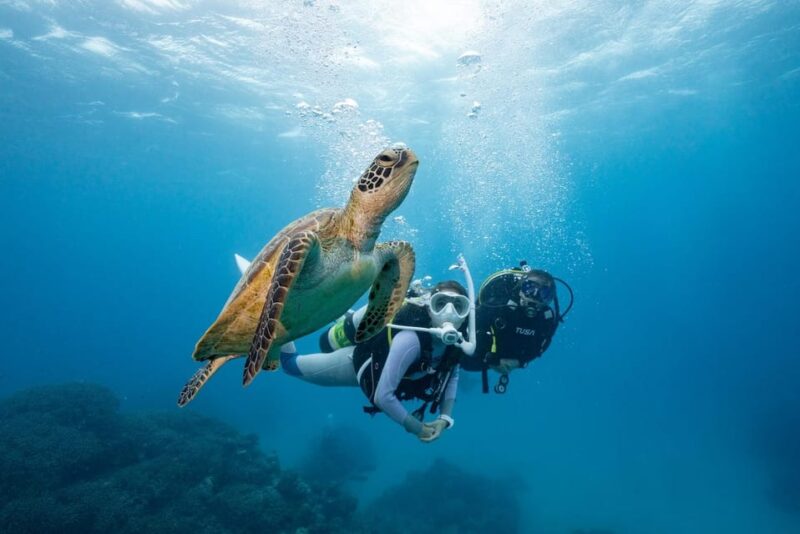 Zakynthos: Scuba Diving Experience with Underwater Photos - Exploring the Zakynthos Marine Environment from Agios Sostis