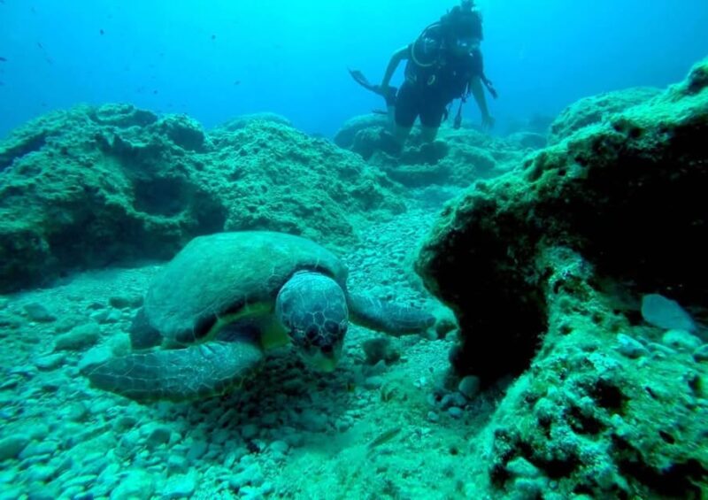 Zakynthos: Scuba Diving Experience with Underwater Photos - Suitability and Restrictions for Participants