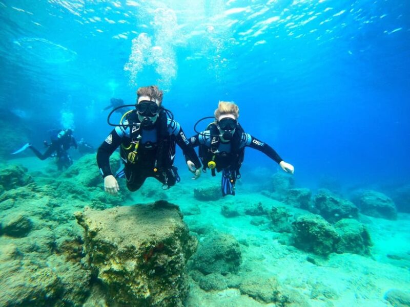 Zakynthos: Scuba Diving Experience with Underwater Photos - Final Thoughts: Who Will Love This Zakynthos Tour