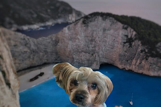 Zakynthos Small Group Tour Shipwreck bay Blue Caves by Land & Sea - Relaxing at Xigia Pigadi Beach and the Sulphur Springs