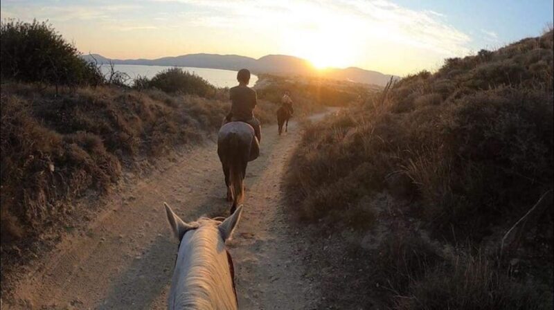 Zakynthos: Yotomu Horse Riding and Swimming Experience - Logistics and Meeting Details for a Smooth Experience