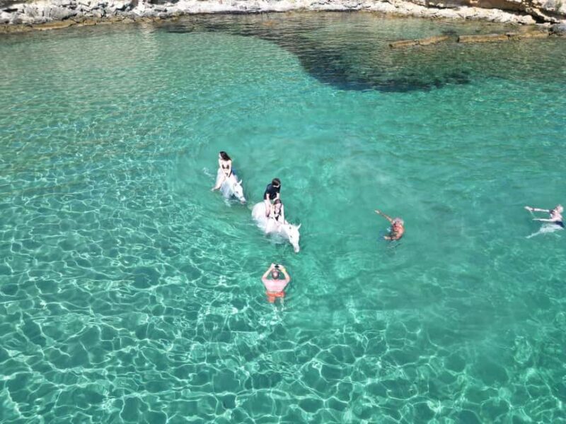 Zakynthos: Yotomu Horse Riding and Swimming Experience - What is Included in the Horseback Riding Experience