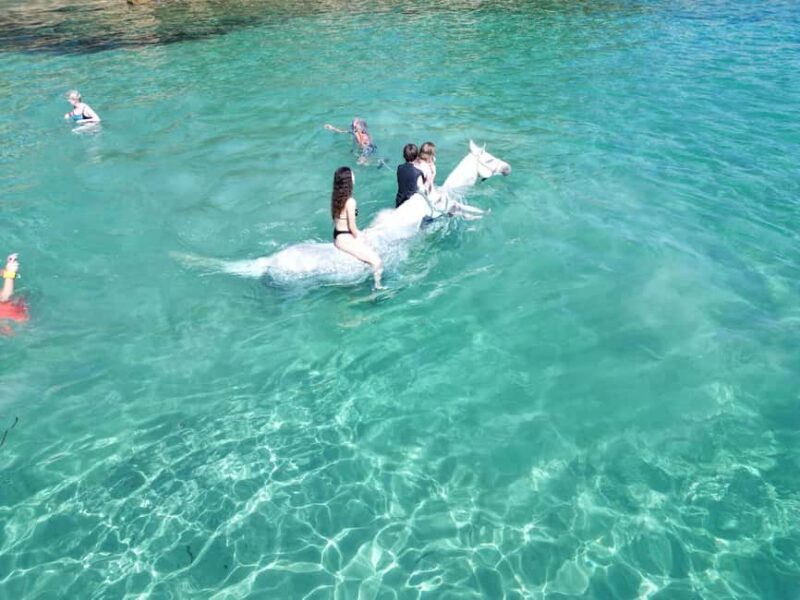 Zakynthos: Yotomu Horse Riding and Swimming Experience - The Quality of Guides and Horses