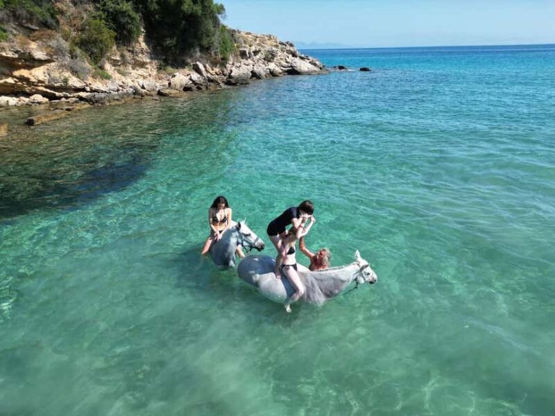 Zakynthos: Yotomu Horse Riding and Swimming Experience - The Overall Value of the Zakynthos Horse Riding Tours