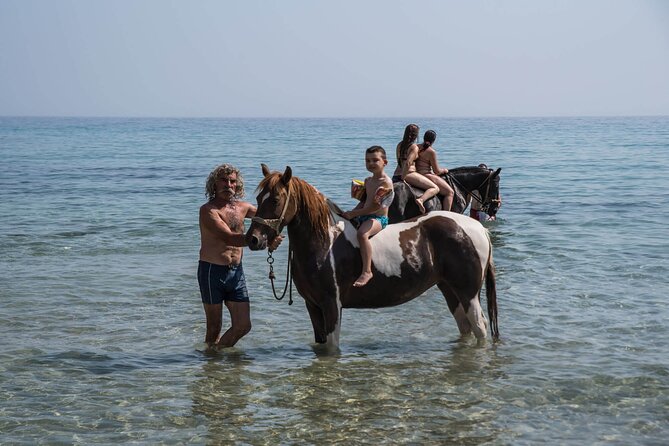 Zakytnhos Horse Riding Swimming Experience - The Equine Experience: Riding Equipment and Safety