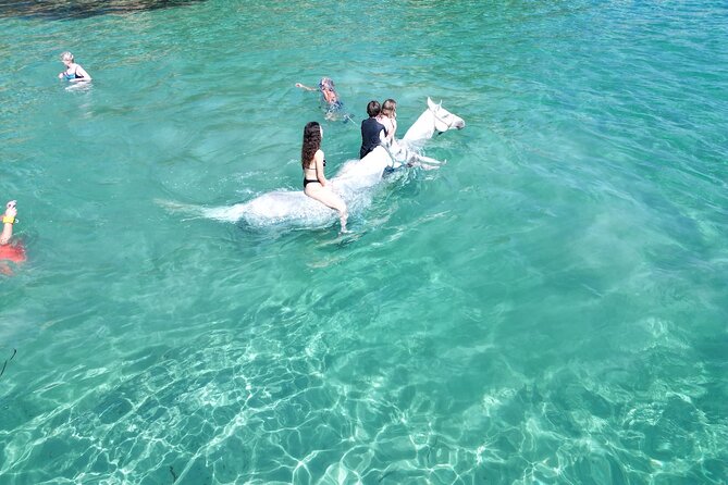 Zakytnhos Horse Riding Swimming Experience - Practical Details: Booking, Cancellation, and Weather