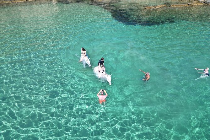 Zakytnhos Horse Riding Swimming Experience - Who Will Appreciate This Horse Riding and Swimming Tour