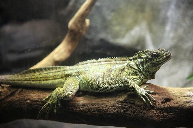 Zaragoza Aquarium Admission Ticket - Explore the Zaragoza Aquarium with a Convenient Ticket