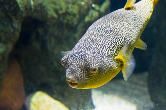 Zaragoza Aquarium Admission Ticket - Why Pre-Booking Your Zaragoza Aquarium Ticket Is a Smart Choice