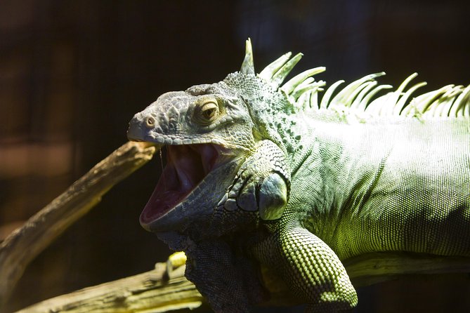 Zaragoza Aquarium Admission Ticket - What Sets the Zaragoza Aquarium Apart