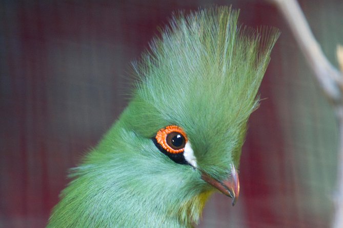 Zaragoza Aquarium Admission Ticket - The Sum Up: A Solid Choice with Room for Improvement