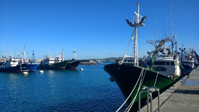 Zarautz, Getaria And Zumaia From San Sebastian - Getaria’s Marina and Txakoli Vineyards