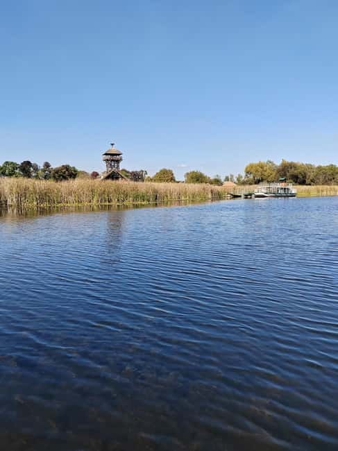 Zasavica Safari Tour - Key Points