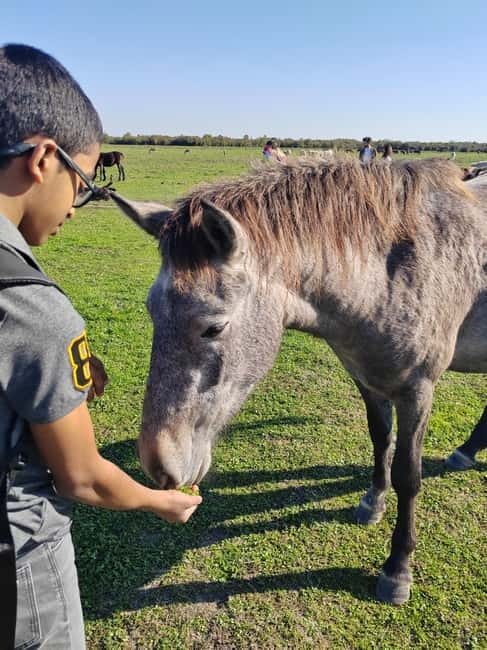 Zasavica Safari Tour - Discovering Zasavica: A Natural Sanctuary Near Belgrade