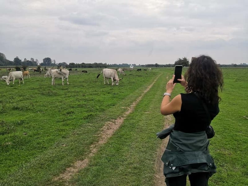 Zasavica Safari Tour - Practical Details and What’s Not Included