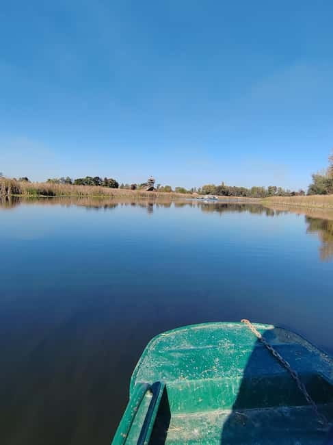 Zasavica Safari Tour - Who Will Enjoy the Zasavica Safari Tour the Most?